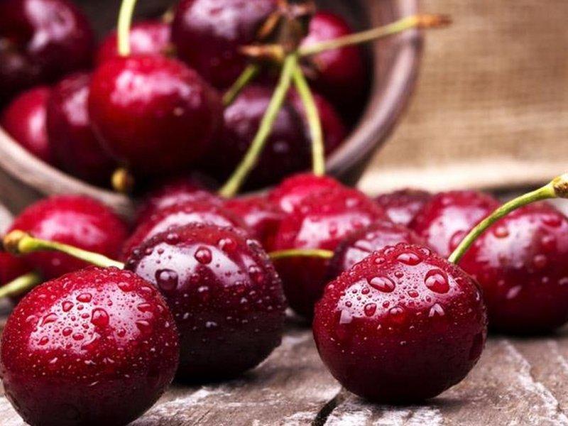 Вишня купить саженцы из питомника в Березниках